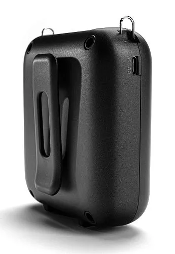 LAudio WS-VA058-Pro Переносной громкоговоритель для гида.